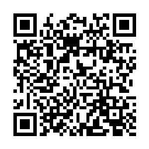 随处可见的战火让叶秋感觉到了自己处在另一个世界一般二维码生成