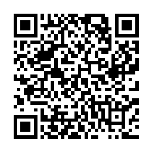 随手取下屏风上面挂着的那件红色外袍往湿漉漉的身上一披二维码生成