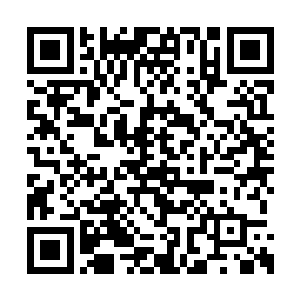 随时都在收割着阵法之中的归塘星域鬼修的生命二维码生成