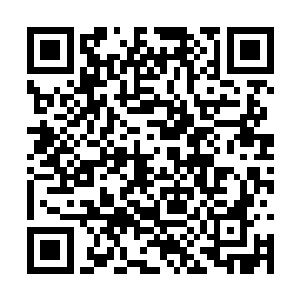 随时都有可能将冰极人道化作的冰甲直接碾成碎片二维码生成