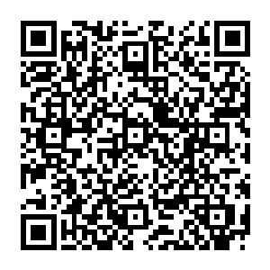 随着技能娴熟的亚尔莫连科协同瑞典飞行员一起把巨型客机的空高降低到五百米的低空二维码生成