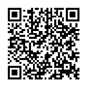 随着林美玉那红`润的小`嘴慢慢的含`住了神棍的小脑袋二维码生成