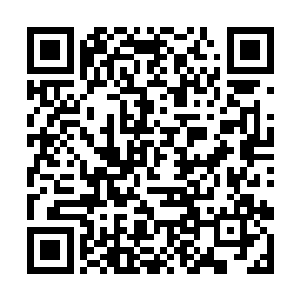 随着狠狠的一转顿时一脚便朝着老者的小腹踹了过去二维码生成