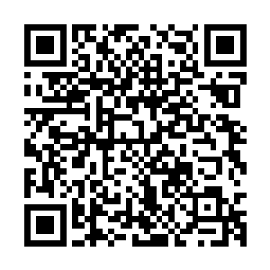 随着道威斯计划引发的在华德国人回国风潮一直持续到1925年底二维码生成