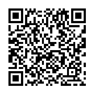 随着那两团黑洞能量一点点的被那两条蛇吞入到蛇口之中二维码生成