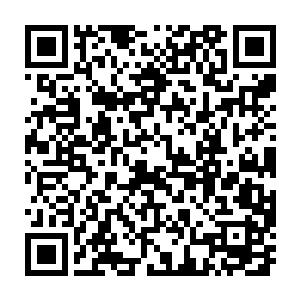 随着那些人群渐渐的从龙雪所带来的那种震憾性的美之中回过神来之后二维码生成