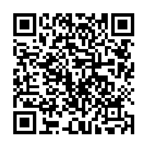 随行而来的阵法师们则围绕这山谷布置各种各样的法阵二维码生成
