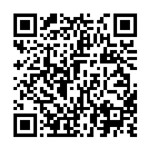 随身携带的洞府……要是早知道紫华洞府这么厉害二维码生成