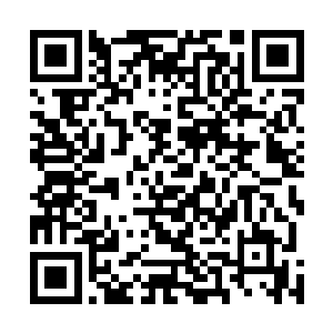 随风飘落的树叶简直就好像是在下密密麻麻的树叶雨一般二维码生成