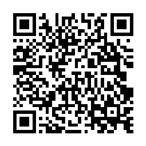 隐在体内的戾气在这一刻全被充斥在体内的浩然正气压制二维码生成