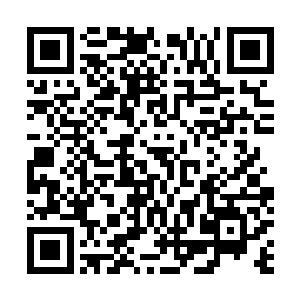 隐天王那边的攻击也是突兀的发动了……只看到他的拳头二维码生成