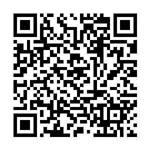 隐约从袋子里透出的香气让他很快就明白了里面装的是什么二维码生成