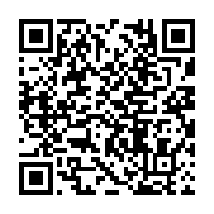 隐遁中的树心立即在血幽紫的操控下迅速向下坠去二维码生成