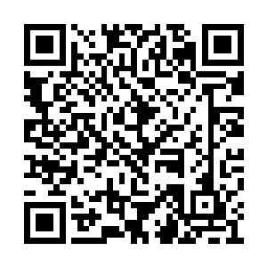 隐隐可以看到那些符文凝聚着一只只奇异的怪兽二维码生成