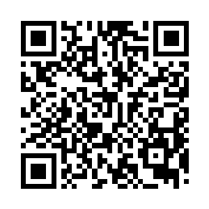 隐隐可见那原本宁静的火种多了几分变化二维码生成