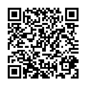 隐隐感觉这白色巨山或许是一件难以想像的超级宝物二维码生成