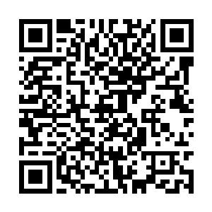 隐隐的龙魂咆哮从龙爪抓着的晶石上面散发了出来二维码生成