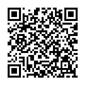 隐隐约约能够听到魔幻宫年轻弟子们的练武喝声二维码生成