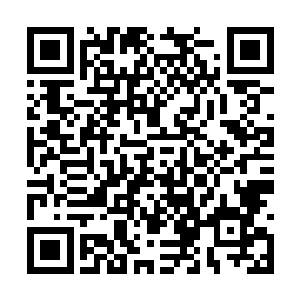 隔壁住着的那个经常坐在门外发呆的游人所说的话二维码生成