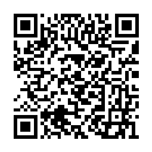 隔海相望的倭国西北部的肥前国平户大名松浦家二维码生成