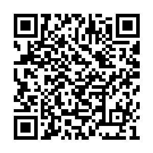 隔着老远就看到了一袭白衣站在花丛之中的男子二维码生成