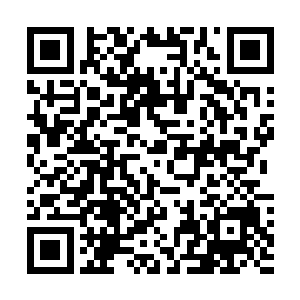 难不成他们四个人还能对付的了自己这边的十几个人不成二维码生成