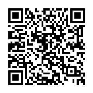 难不成任远的攻势当中带着一股更为阴损的暗劲二维码生成