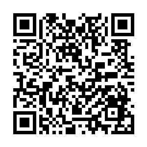 难不成她就是安插玲玉她们到黑蝎的神秘面纱女子二维码生成