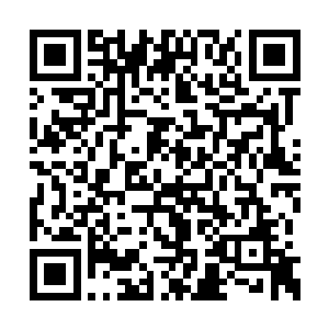 难不成是苏凡的女人因为苏凡不在了找男人不成二维码生成