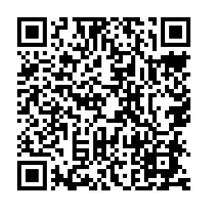 难不成是那个在江南籍籍无名却在北凉名声鹊起的寒族谋士陈锡亮二维码生成