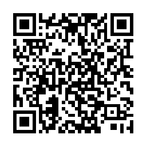 难不成林导师还要一个人对付这些尸阴宗的弟子不成二维码生成