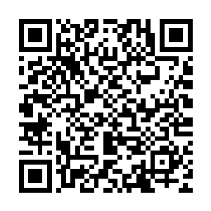 难不成自己小时候抢邻居家的一块棒棒糖也会转为魔念攻击自己二维码生成