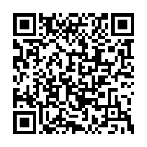 难不成这些野鸡脖子能听得到魏燕这个鬼差的话二维码生成