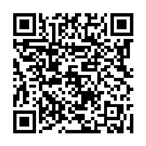 难得高高在上的四长老会耐心地讲完这么长一段话二维码生成
