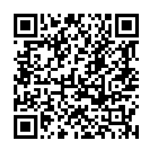 难怪他去参加叶清雪的生日宴会的时候会穿的那么寒酸二维码生成