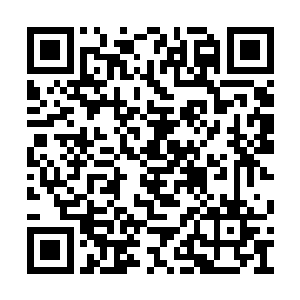 难怪其他星空修士全都无法和灵龙建立灵魂联系二维码生成