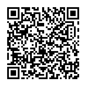 难怪帝君说只换剑灵有点贵了……我们主要换的其实还是政治意义二维码生成