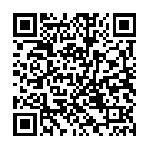 难怪当初医生便诊断以后霍达斯下半身将无法自主行动二维码生成