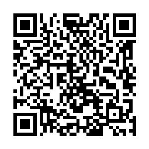 难怪未来公公婆婆说起来乔荞的时候表情都是一脸的自豪二维码生成