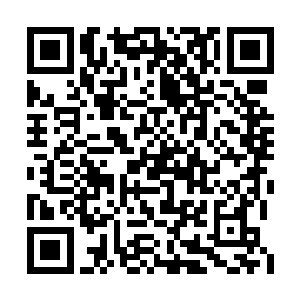 难怪本宫一直不解你这两年来为何丝毫不阻本宫二维码生成