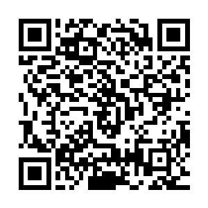 难怪父亲常说你一人便可立起梅家大旗――正如你所猜测的那样二维码生成