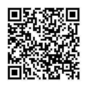 难怪玛塔玛塔所有的酒店都没有她的入住消息――二维码生成