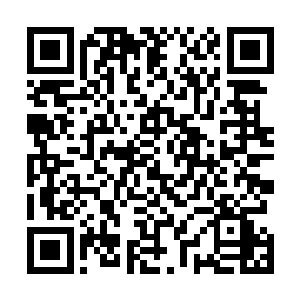 难怪相当的人都想要把家里面的孩子都给送到大哥的门下二维码生成