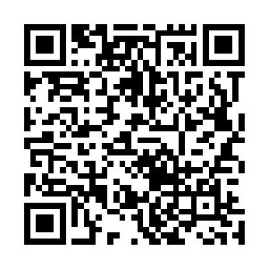 难怪自己无论如何也试探不出这天灵玉佩究竟有何不同之处二维码生成