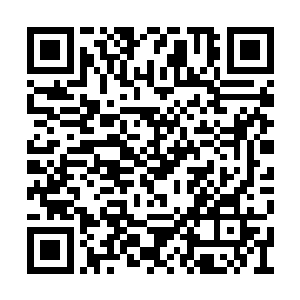 难怪这么多人来星辰海都没有得到混元星辰宝树二维码生成