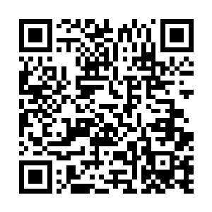 难怪那血渍的分布有些奇怪……原来是审问时留下的……二维码生成