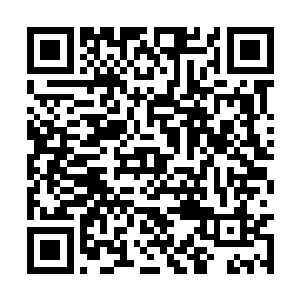 难怪黑莲门下这一个水属天仙就开始点兵点将……二维码生成