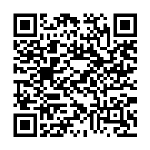 难能可贵的是这汤似乎吸取了羊身上每个部位的jing华二维码生成