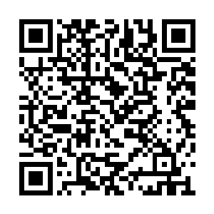 难道他们会因为这一句话出手对付一个女人不成二维码生成