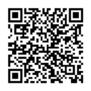 难道他真的当我们这些家族之中的精英弟子是纸糊的么二维码生成